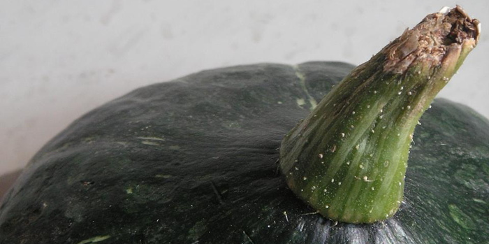 kabocha